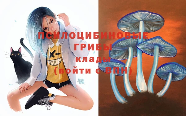 apvp Богданович